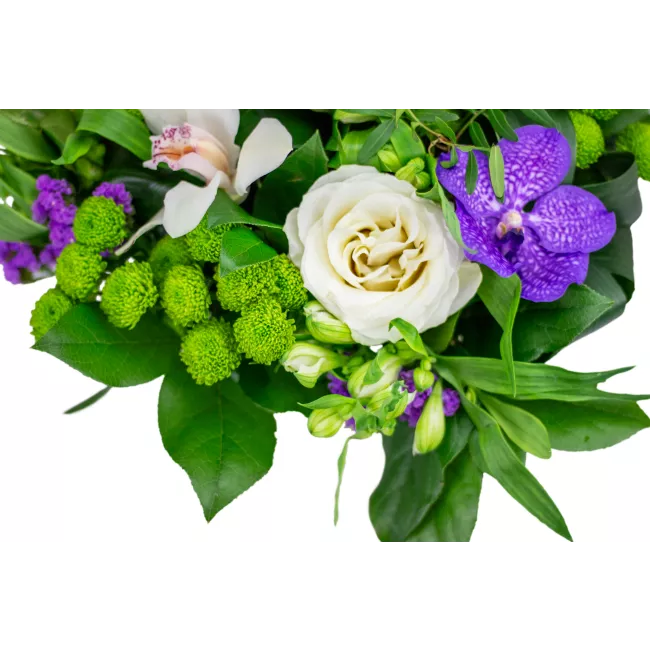 Kytice fialových květů